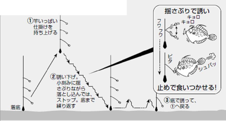 鈴木孝の安心カワハギ塾
