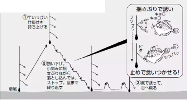 「鈴木孝の安心カワハギ塾」の画像
