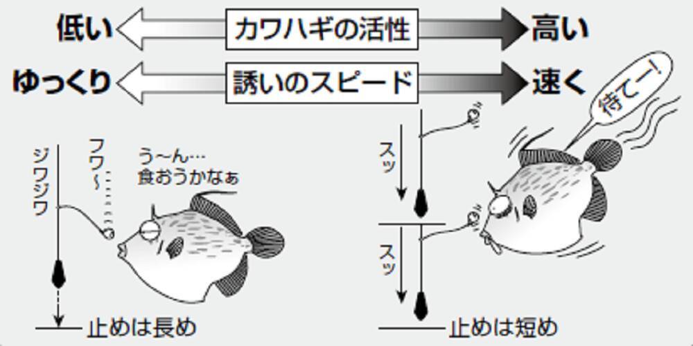 鈴木孝の安心カワハギ塾