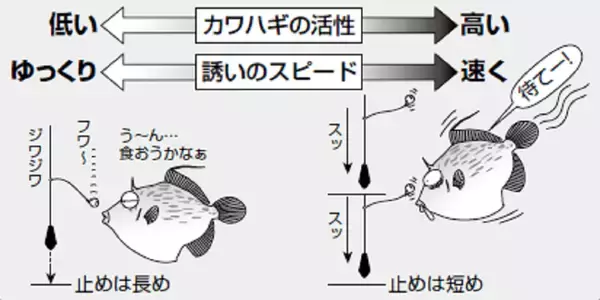 「鈴木孝の安心カワハギ塾」の画像