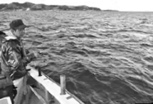 「鈴木孝の安心カワハギ塾」の画像