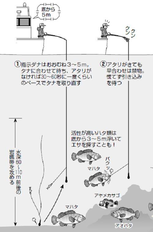泳がせで狙え大物 南伊豆のハタ五目 21年12月27日 エキサイトニュース 4 4
