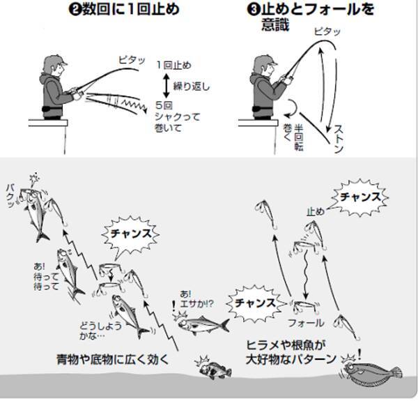 沖釣りカレッジ ヨッシーのslj体験会 21年12月29日 エキサイトニュース