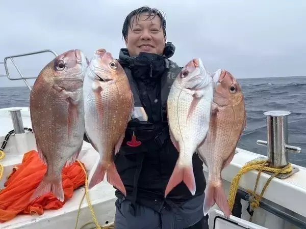 「【釣果速報】千葉県梅花丸でマダイ好調！トップ13匹！今後の釣行も期待大！」の画像