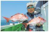 「初夏の乗っ込みに向けて視界良好　日立沖のテンヤマダイ急上昇！」の画像1