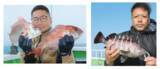 「初夏の乗っ込みに向けて視界良好　日立沖のテンヤマダイ急上昇！」の画像5