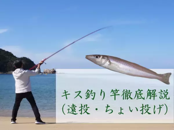 「キス釣り竿の選び方とおすすめ10選！ちょい投げや遠投でキス釣りを楽しもう」の画像