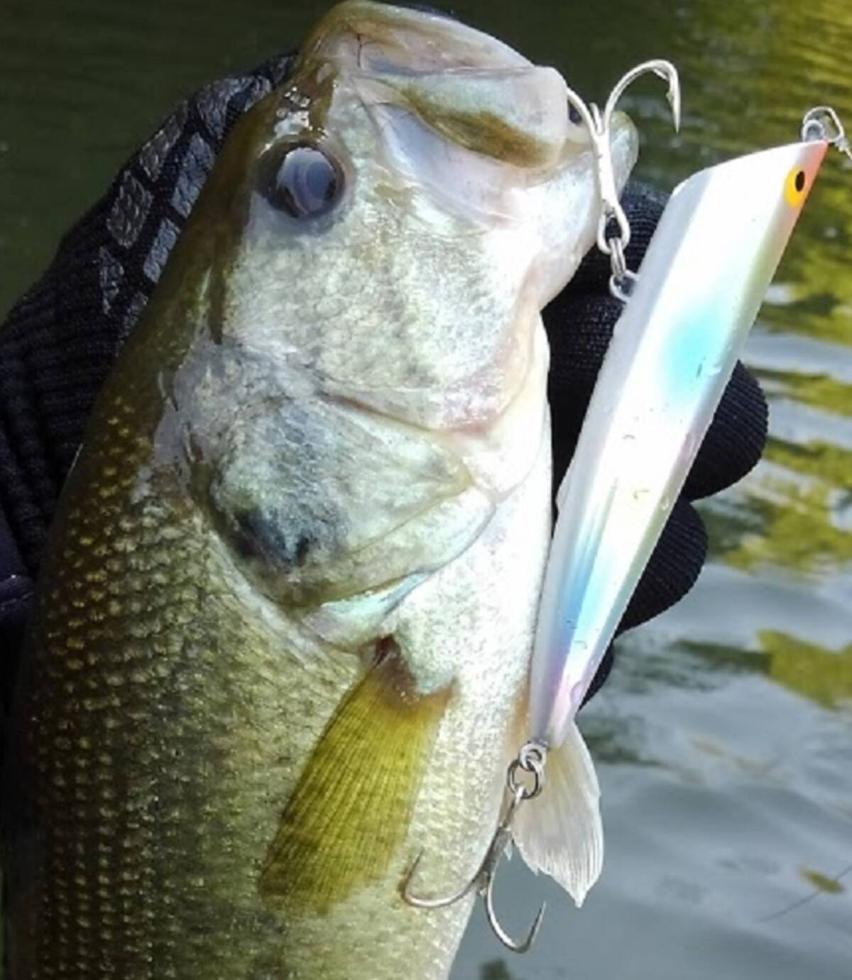 ソルト専用のリップルポッパーでバスを釣りたい！使い方やおすすめタックル特集 (2021年5月9日) - エキサイトニュース ライン付バス釣り  シーバス2ピース1.65mベイトロッド&ベイトリールセット