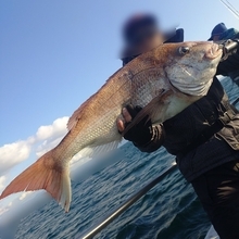 和歌山で冬に狙う高級魚！heyheyshipで楽しむシロアマダイ釣りと5つの魅力