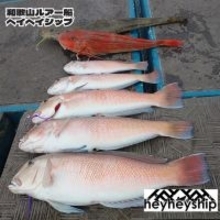 和歌山で冬に狙う高級魚！heyheyshipで楽しむシロアマダイ釣りと5つの魅力