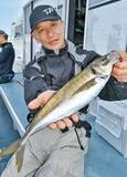 「城ケ島沖で大アジ乱舞　マダイや青物、根魚が狙えるお楽しみも！」の画像1