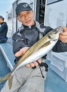 城ケ島沖で大アジ乱舞　マダイや青物、根魚が狙えるお楽しみも！