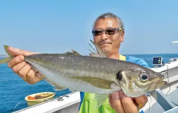 「城ケ島沖で大アジ乱舞　マダイや青物、根魚が狙えるお楽しみも！」の画像