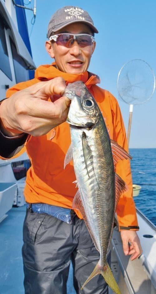 城ケ島沖で大アジ乱舞　マダイや青物、根魚が狙えるお楽しみも！