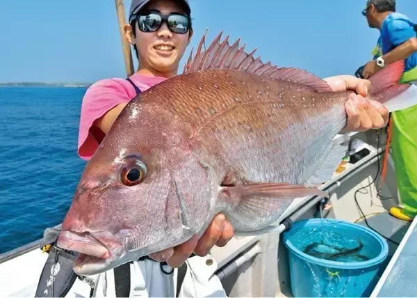 「城ケ島沖で大アジ乱舞　マダイや青物、根魚が狙えるお楽しみも！」の画像