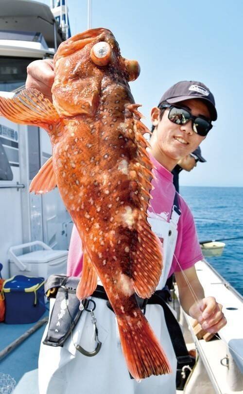 城ケ島沖で大アジ乱舞　マダイや青物、根魚が狙えるお楽しみも！