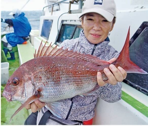 近場＆浅場で驚愕の光景　八景沖のコマセダイは数＆型とも大満足！