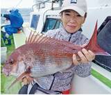 「近場＆浅場で驚愕の光景　八景沖のコマセダイは数＆型とも大満足！」の画像3