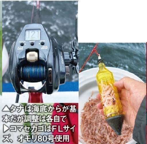 近場＆浅場で驚愕の光景　八景沖のコマセダイは数＆型とも大満足！