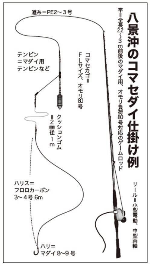近場＆浅場で驚愕の光景　八景沖のコマセダイは数＆型とも大満足！