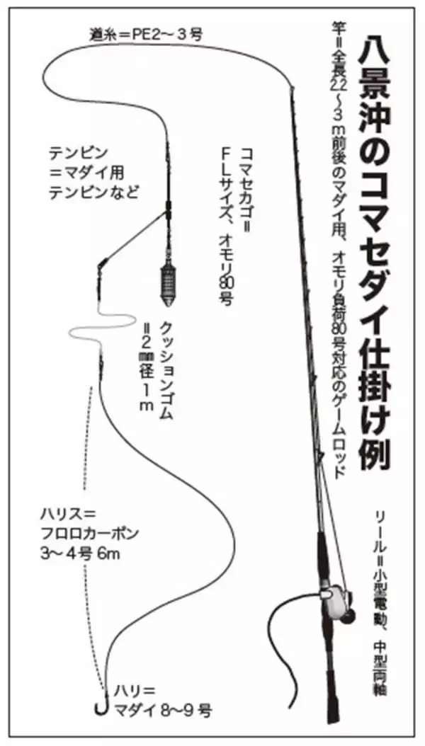 「近場＆浅場で驚愕の光景　八景沖のコマセダイは数＆型とも大満足！」の画像