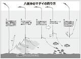 「近場＆浅場で驚愕の光景　八景沖のコマセダイは数＆型とも大満足！」の画像6