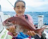 「近場＆浅場で驚愕の光景　八景沖のコマセダイは数＆型とも大満足！」の画像8