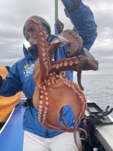 【釣果速報】茨城県日立丸でマダコが超快釣！サイズも最大3.5kgと釣りごたえバッチリ！週末はモンスタータコを狙いに行きませんか？