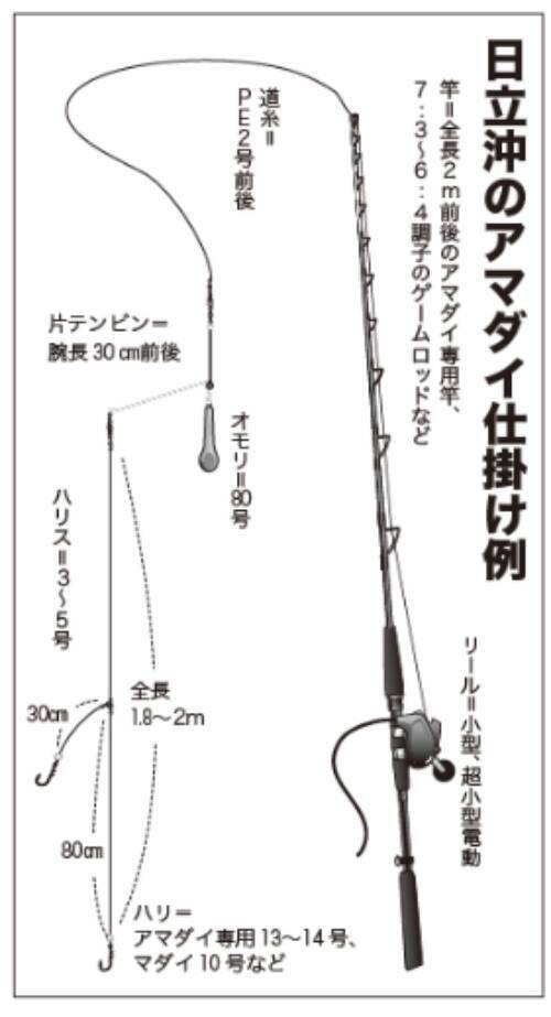 このポテンシャルはすごい！日立沖のアマダイ好調キープ