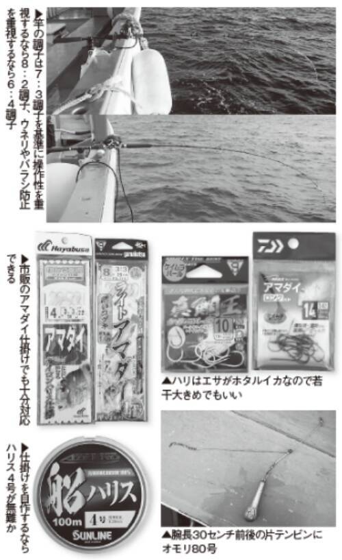 このポテンシャルはすごい！日立沖のアマダイ好調キープ