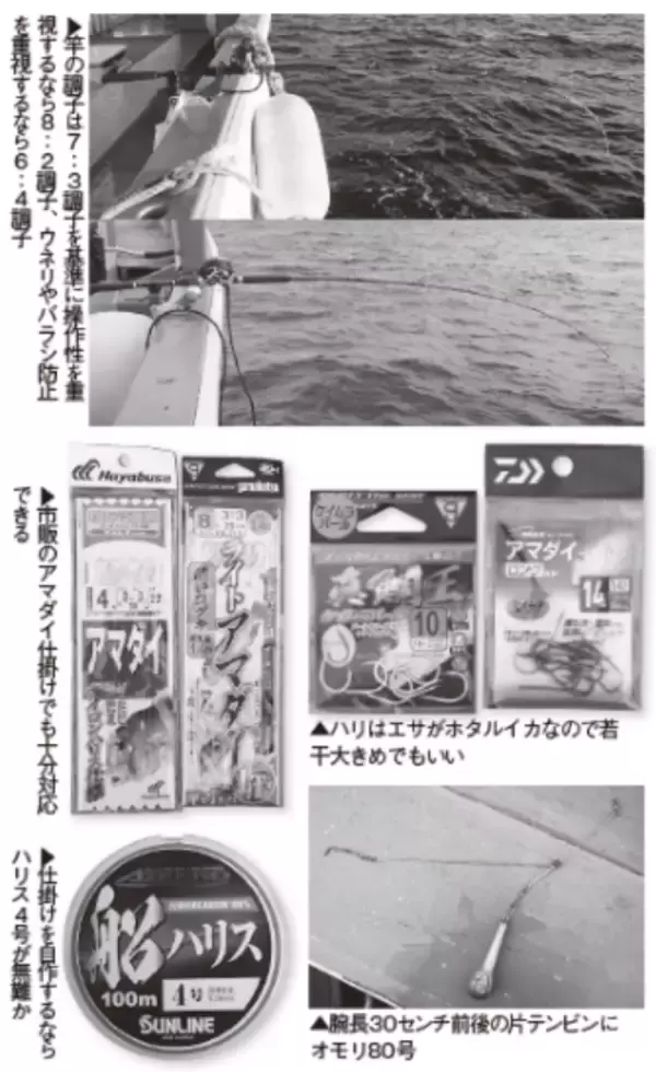 「このポテンシャルはすごい！日立沖のアマダイ好調キープ」の画像