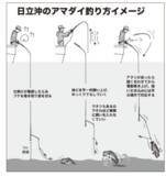 「このポテンシャルはすごい！日立沖のアマダイ好調キープ」の画像6