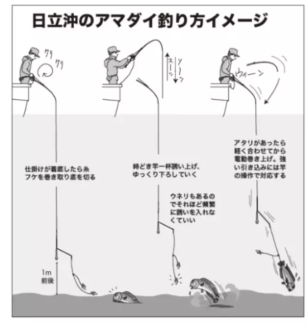 「このポテンシャルはすごい！日立沖のアマダイ好調キープ」の画像