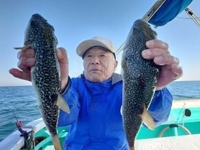 【釣果速報】千葉県利永丸で35cmのショウサイフグヒット！フグ釣行なら千葉県利永丸に決まり！