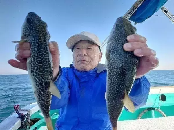 【釣果速報】千葉県利永丸で35cmのショウサイフグヒット！フグ釣行なら千葉県利永丸に決まり！
