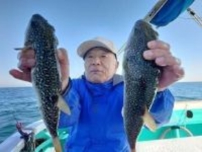 【釣果速報】千葉県利永丸で35cmのショウサイフグヒット！フグ釣行なら千葉県利永丸に決まり！
