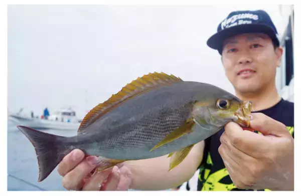開幕から良型ぞろいで絶好調激うまイサキは今が行きどき！