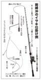 「開幕から良型ぞろいで絶好調激うまイサキは今が行きどき！」の画像4
