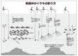 「開幕から良型ぞろいで絶好調激うまイサキは今が行きどき！」の画像5