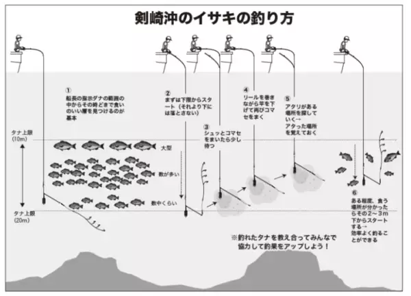 「開幕から良型ぞろいで絶好調激うまイサキは今が行きどき！」の画像
