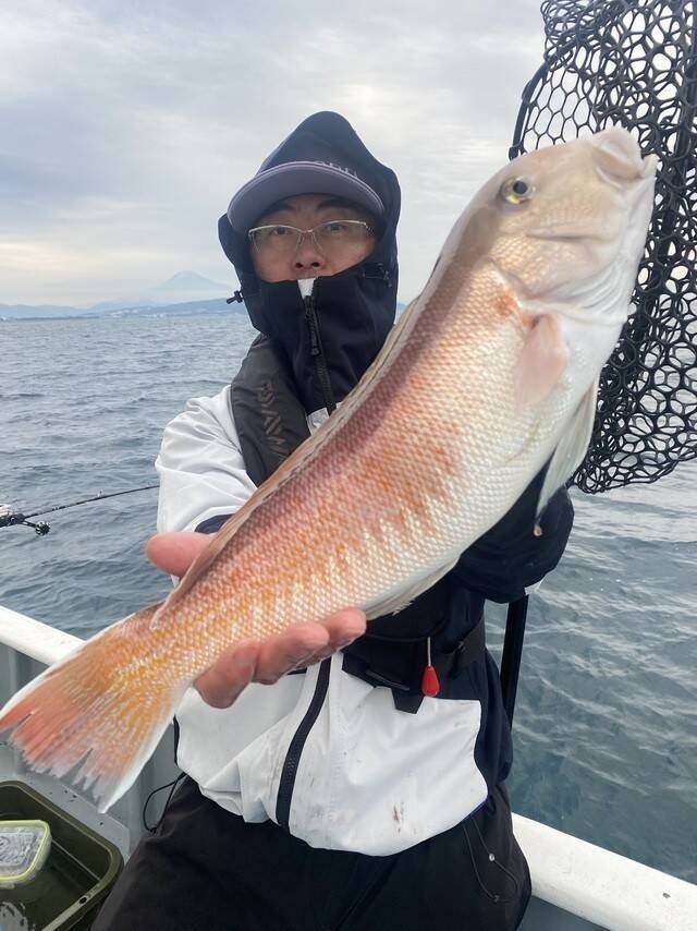 【釣果速報】静岡県山大丸で幻の超高級魚シロアマダイをキャッチ！イトヨリとマアジも上がり皆さんお土産ゲットの快挙！