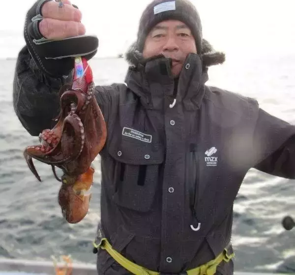 「【釣果速報】神奈川県長崎屋で全員マダコGET達成！1.5kgの良型タコも！好調の今、ぜひ乗船予約を！」の画像