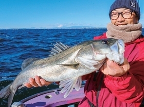 東京湾のシーバスジギング