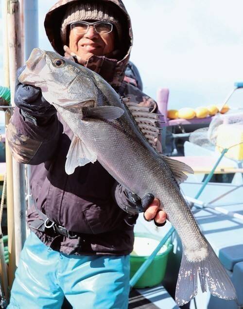 東京湾のシーバスジギング