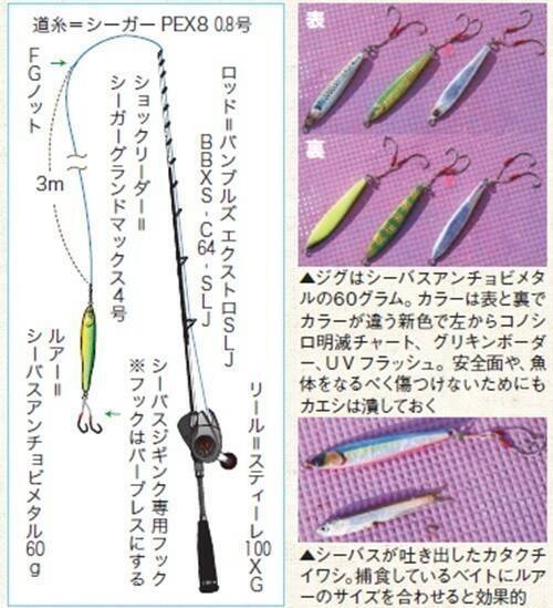 東京湾のシーバスジギング