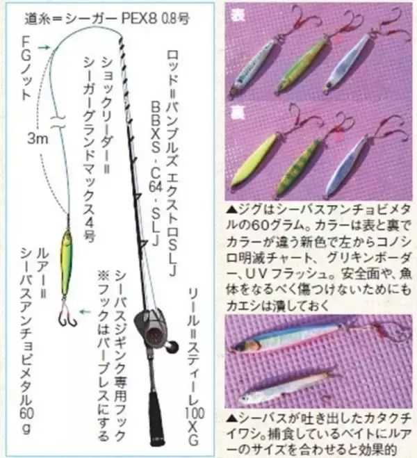 「東京湾のシーバスジギング」の画像