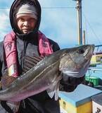 「東京湾のシーバスジギング」の画像5