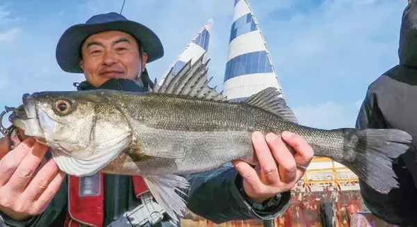 「東京湾のシーバスジギング」の画像