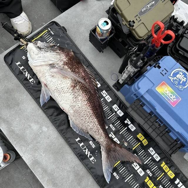【釣果速報】マダイのビッグウェーブ来てます！和歌山県海虎が90cmのマダイGET！このチャンスを逃すな！