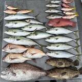 「【釣果速報】マダイのビッグウェーブ来てます！和歌山県海虎が90cmのマダイGET！このチャンスを逃すな！」の画像3